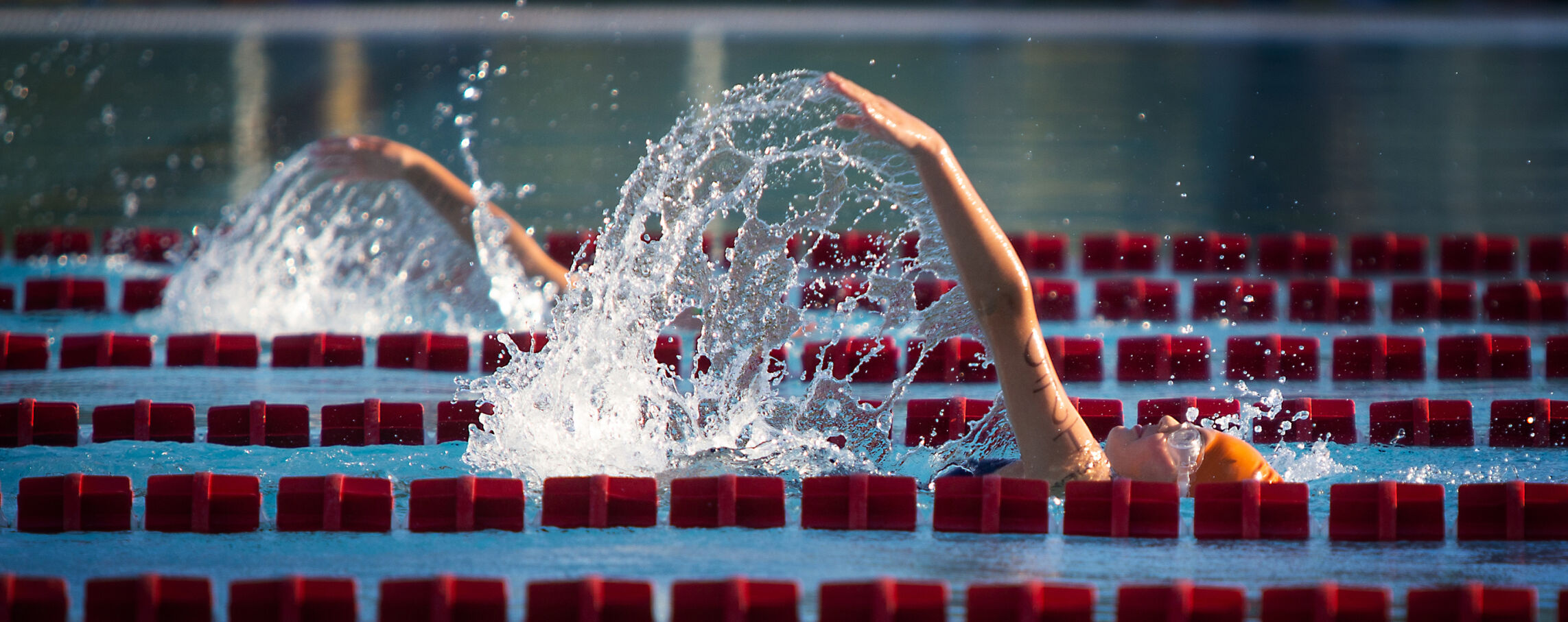 SPAC_5096795162_SwimMeet.jpg